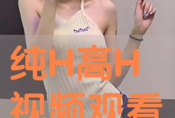 高h视频,揭秘视觉盛宴背后的技术奥秘