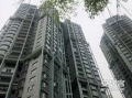 两湖总督,历史风云中的地方统治与变革