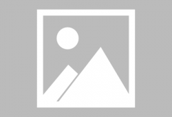 九九视频网,海量影视资源，畅享视听盛宴