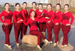 春英广场舞大全视频,舞动健康，乐享生活