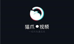 猫爪视频,揭秘猫咪日常生活的趣味瞬间