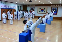 跆拳道视频,从视频中汲取精华