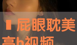 高h视频,揭秘视觉盛宴背后的技术奥秘